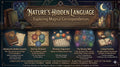 Nature’s Hidden Language: Exploring Magical Correspondences
